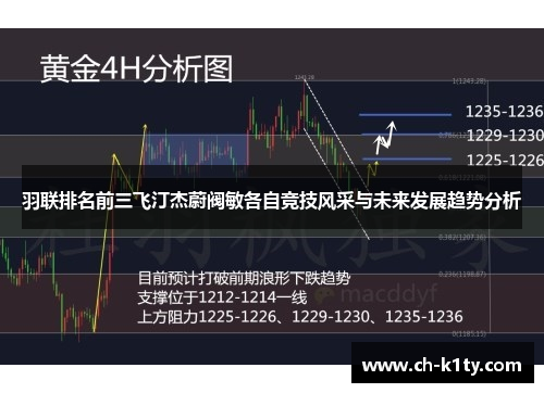 羽联排名前三飞汀杰蔚阀敏各自竞技风采与未来发展趋势分析